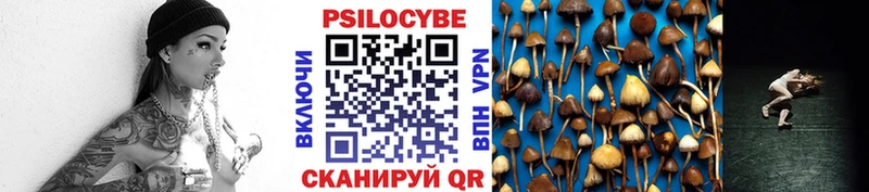 Галлюциногенные грибы мухоморы  где купить наркоту  Камызяк 